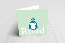 Pinguin met uiltje groen Pinguin met uiltje groen